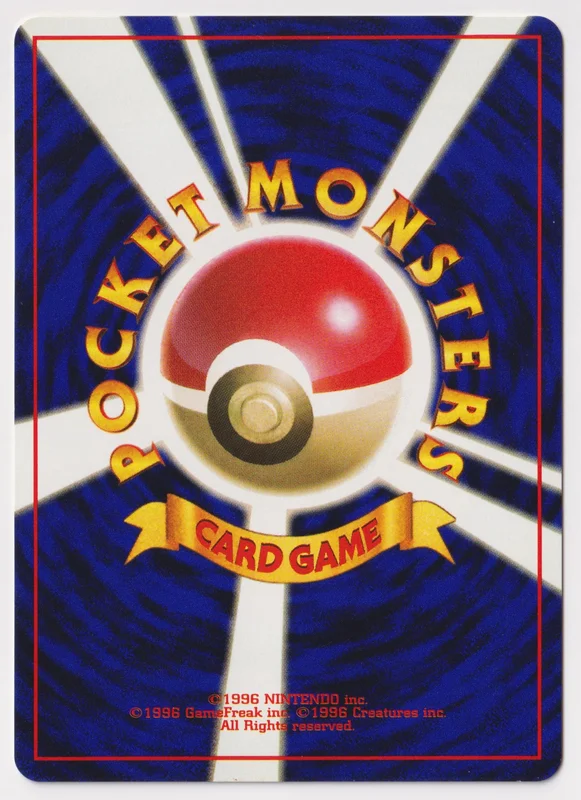 뒷면