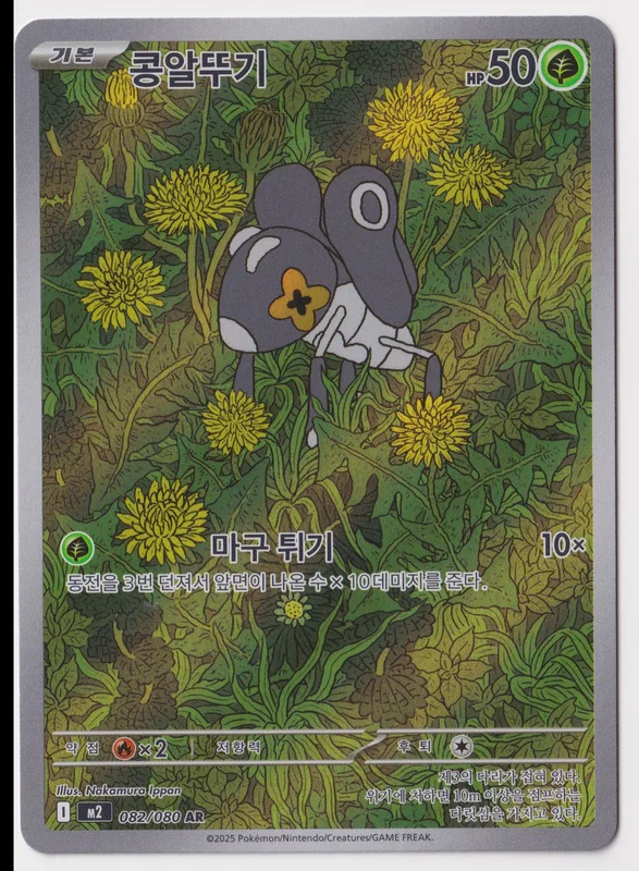 앞면